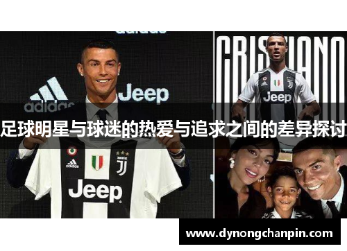 足球明星与球迷的热爱与追求之间的差异探讨