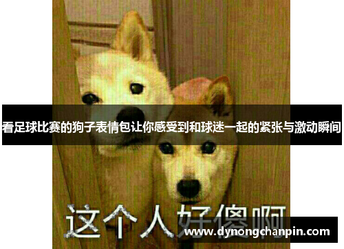 看足球比赛的狗子表情包让你感受到和球迷一起的紧张与激动瞬间